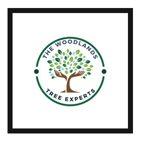 The Woodlands Tree Experts