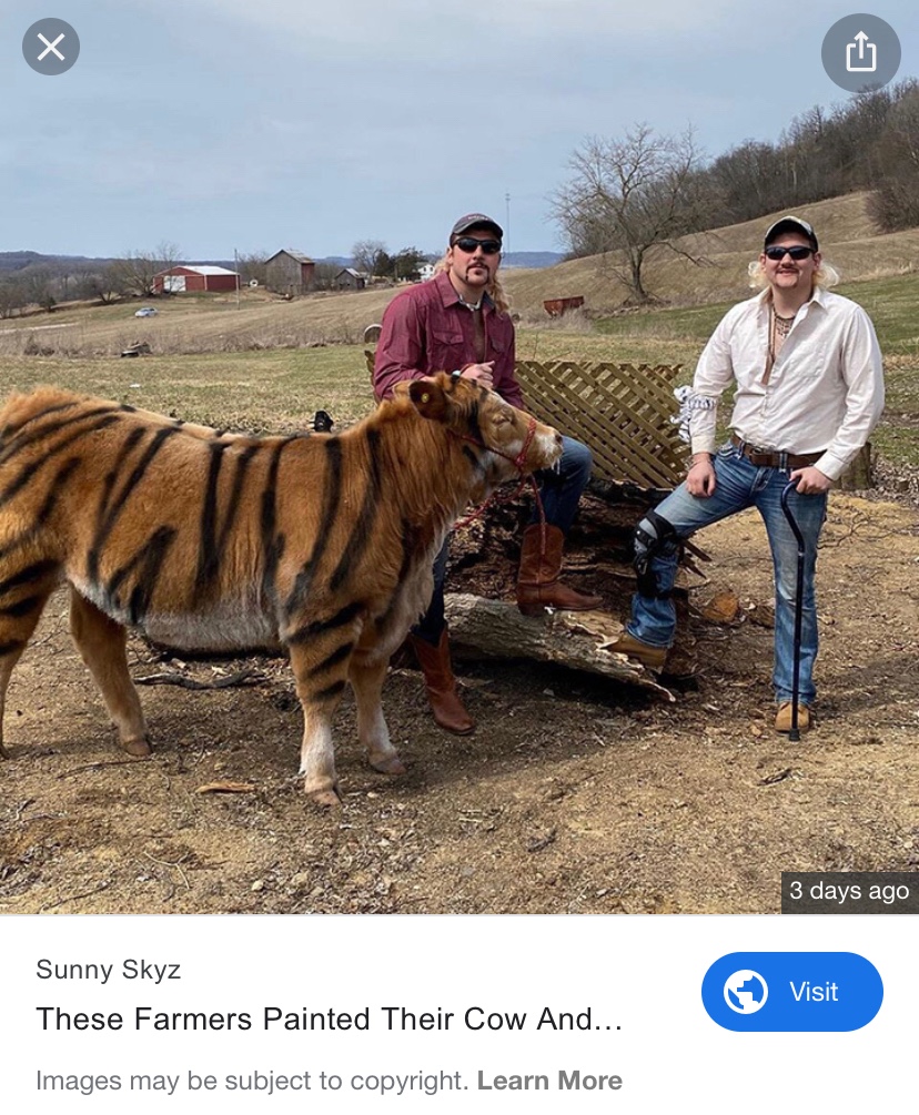 The world has gone crazy! Tiger King! Look closely at the photo!